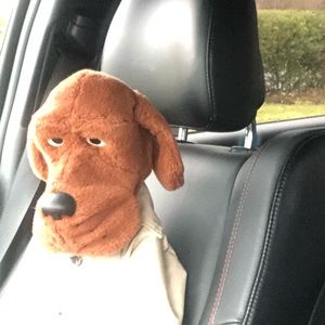 Meet your Posher, Ben